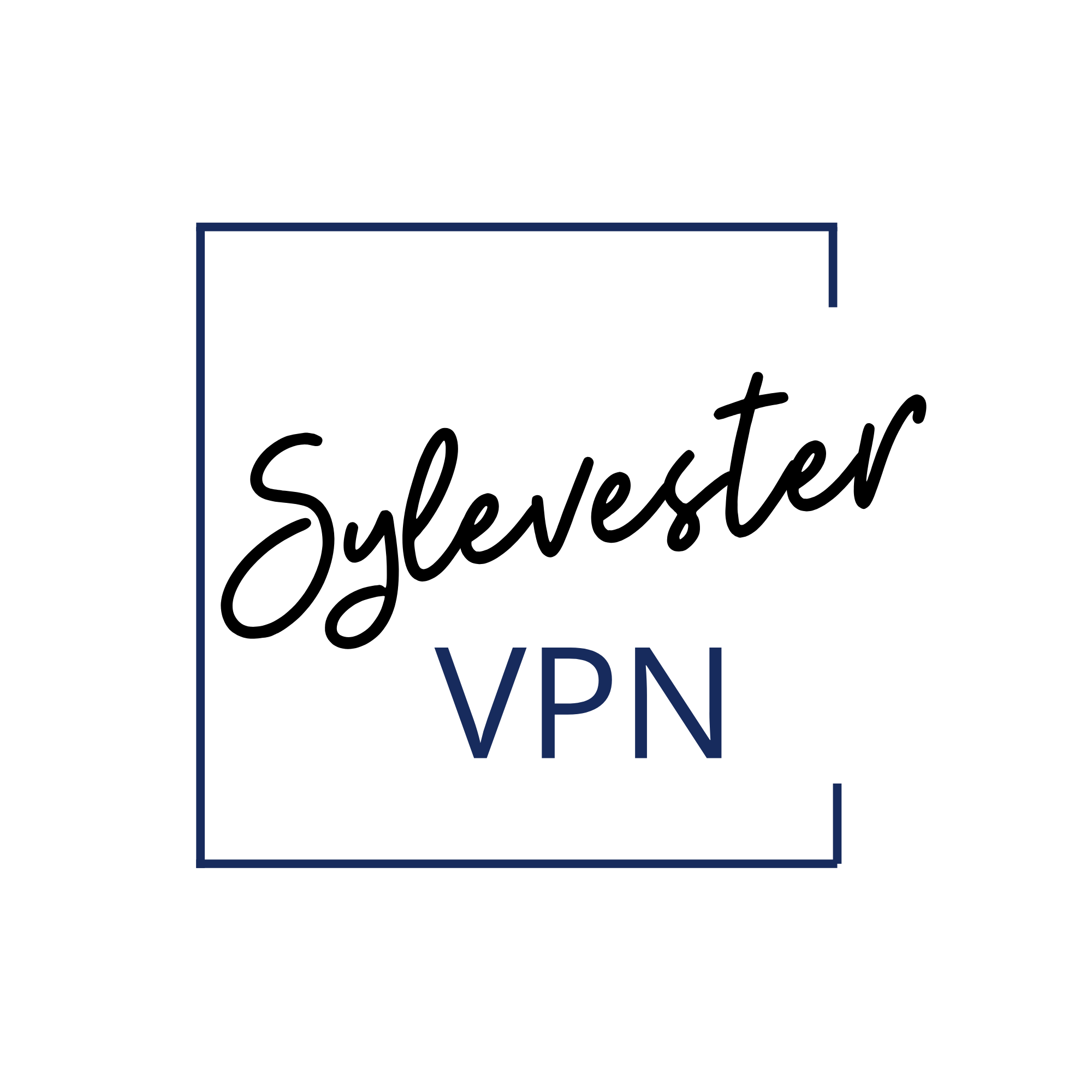syvestervpn logo