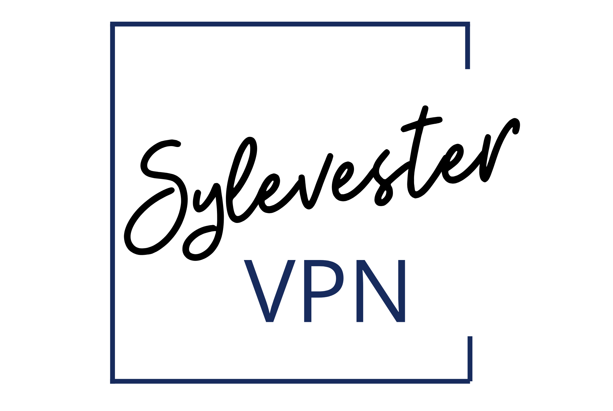 syvestervpn logo